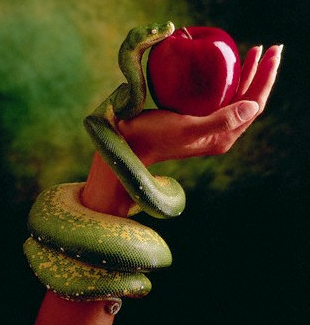 OQ, As cobras realmente comem maçãs? TUDO COMPRAS VÍDEOS NOTÍCIAS IMAGENS  Não, as cobras não podem